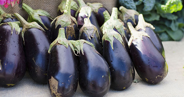 Eggplants at the market