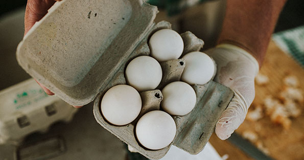 Hands holding open carton of local eggs