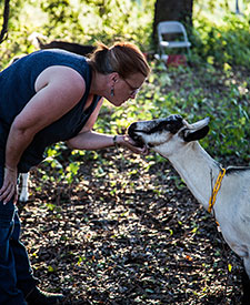 Swede Farm Goat