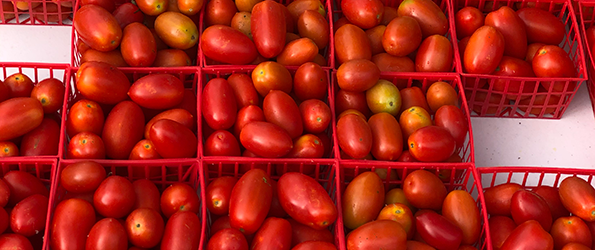 Tomato Baskets