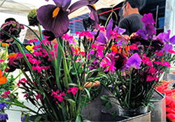 Market Flowers