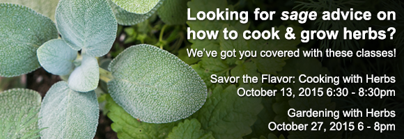 Learn to grow and cook herbs at SFC!
