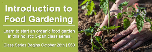 Introduction to Food Gardening