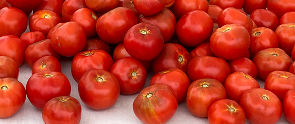 Market Tomatoes