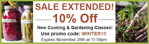 Sale Extended! 10% Off New Classes!