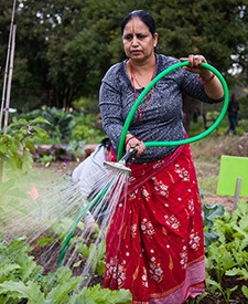 Woman Watering Garden